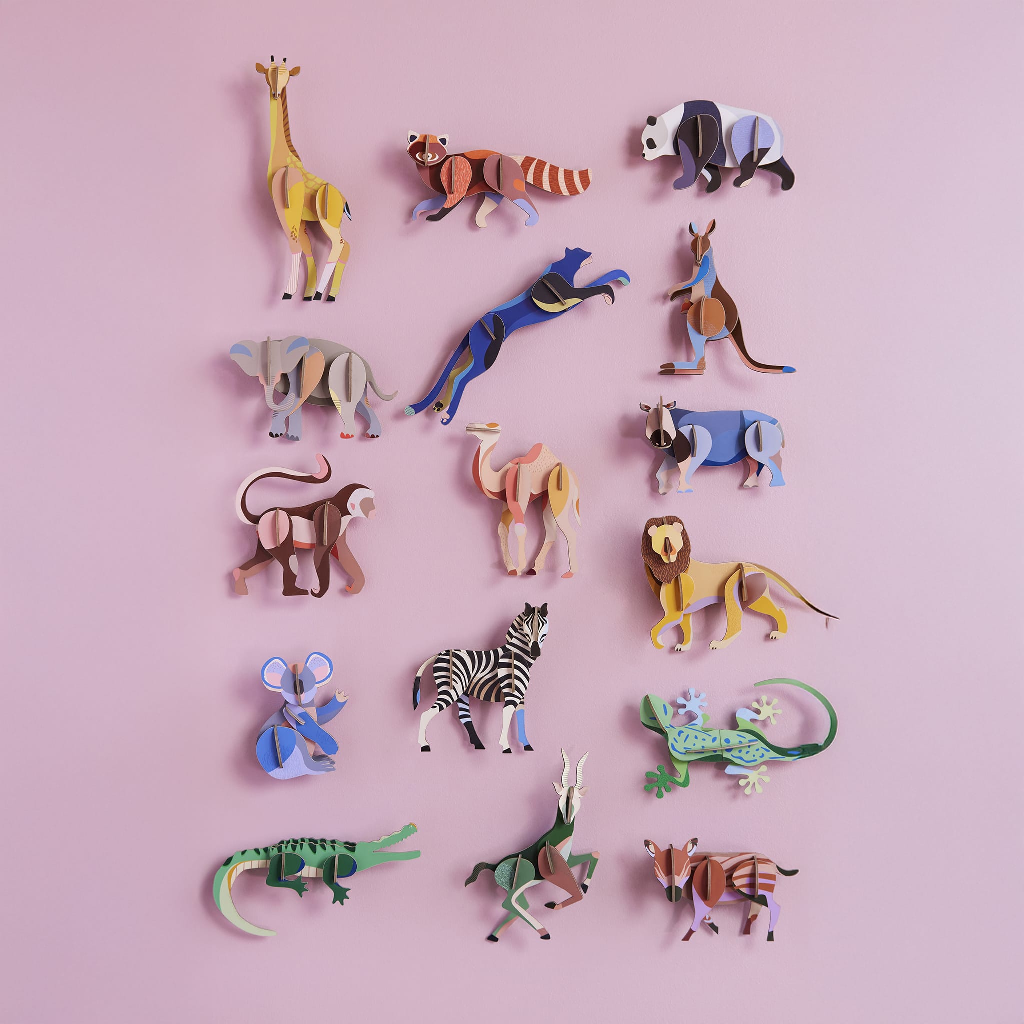 Wild Animal - Zebra