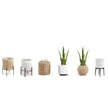Zora Artificial Snake Sansevieria Yellow And Green Potted Plant 30''