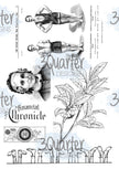Classically Vintage Vellum