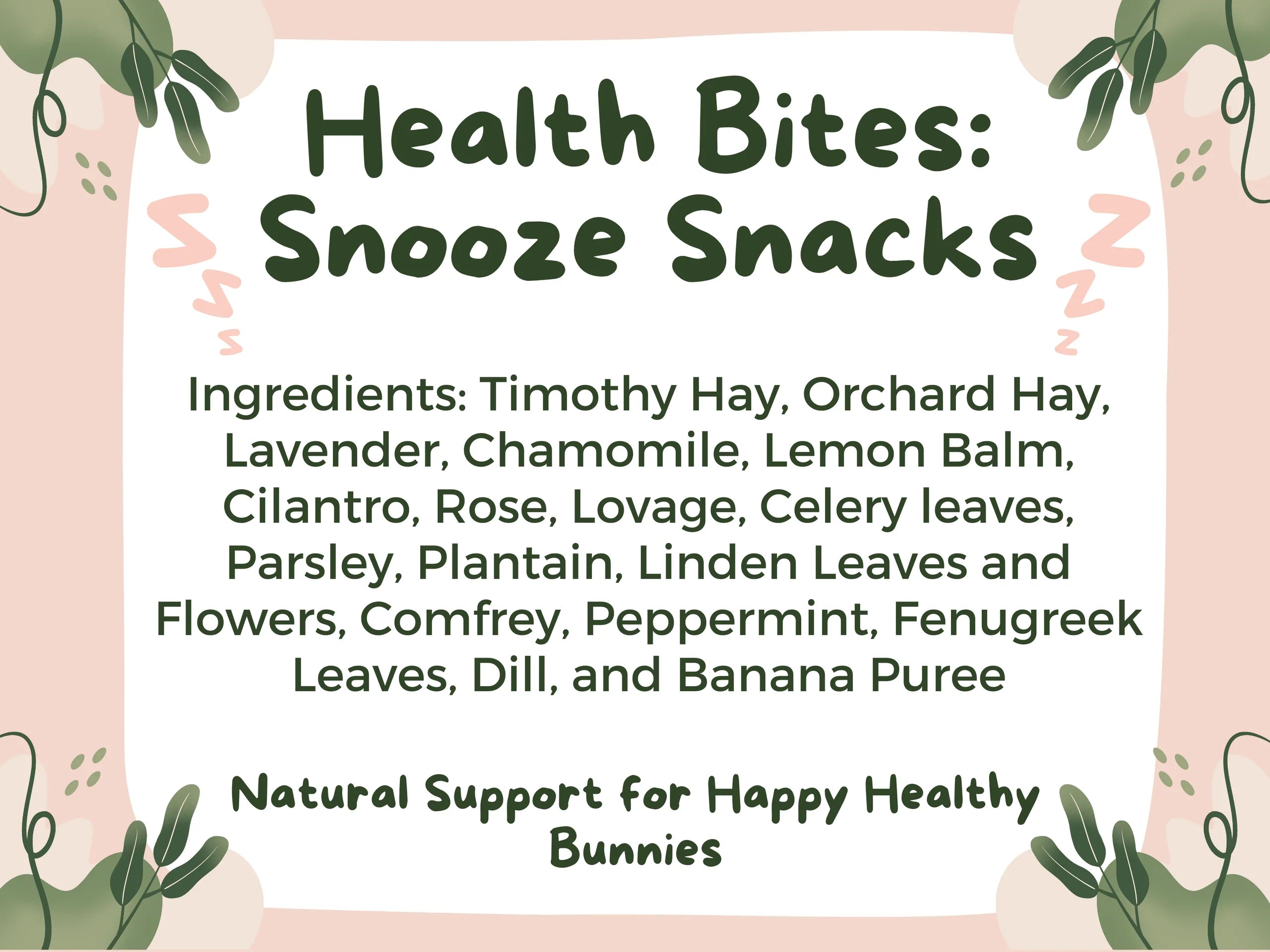 Health Bites: Snooze Snacks
