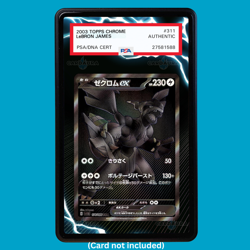 Zekrom EX 174/086 Black Bolt (Graded) Display Case