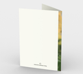 Set of 3 Blank Greeting Cards | 5 x 7 | Sunflower
