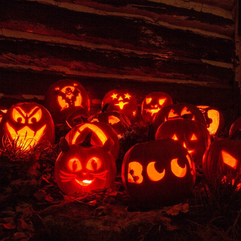 13Pcs Halloween Pumpkin Carving Kit Stainless Steel Carving Kit Pumpkin Sculpting Cutting Kit Halloween Decorative Tools