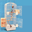 Wire Bird Parrot Cage with Wooden Perches – Black & White | 46×36×93cm