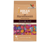 Nippon Hills Coffee Harmonious Geisha SHB Blend (Powder) 100g bag x 12 bags [Shipped in Japan]
