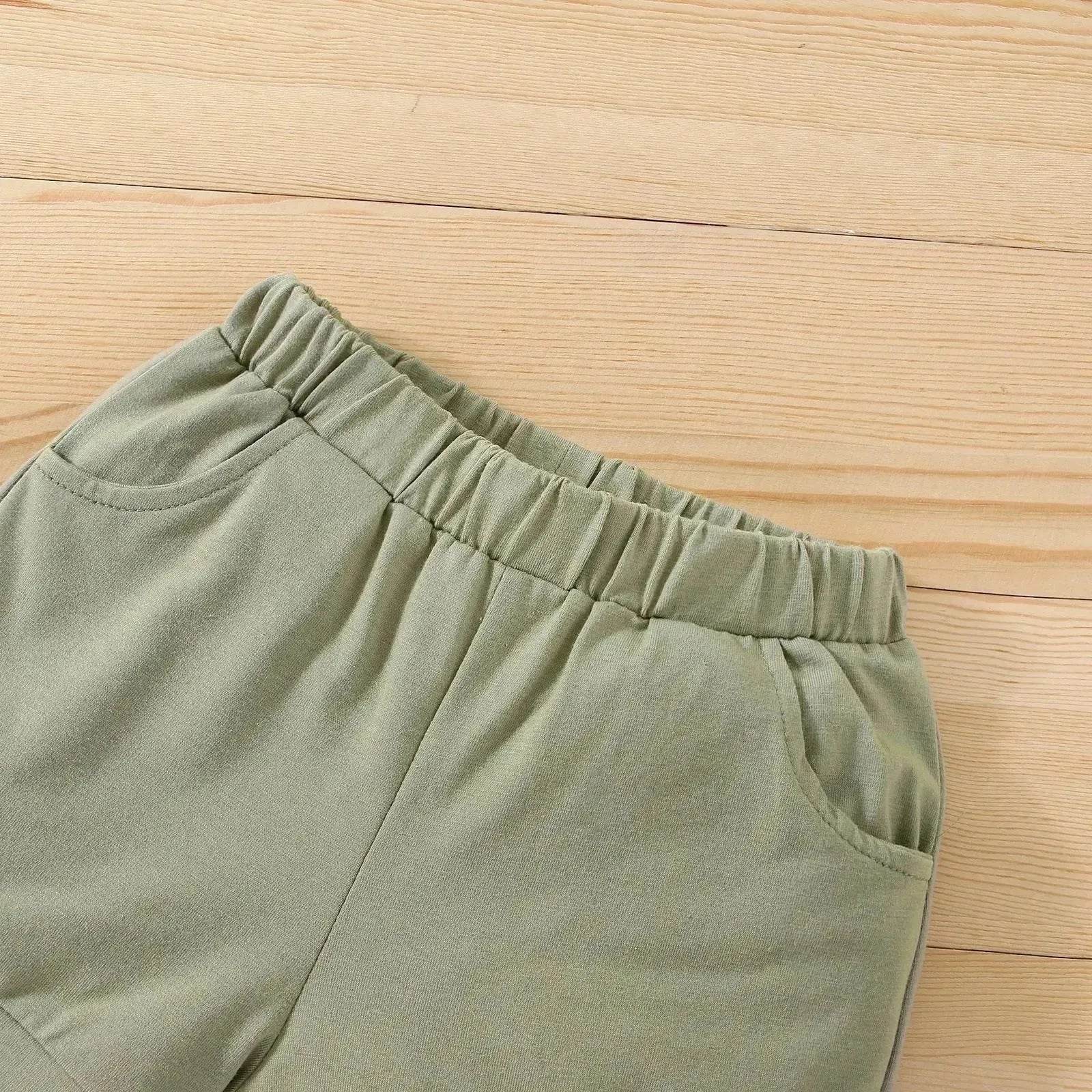 Boy's Little Dinosaur Lapel Cotton Short Sleeve Top Short Pants Suit Two piece for boys.