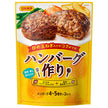 Hamburger Nihon Shokuken confectionnant 90g x 40 sachets 