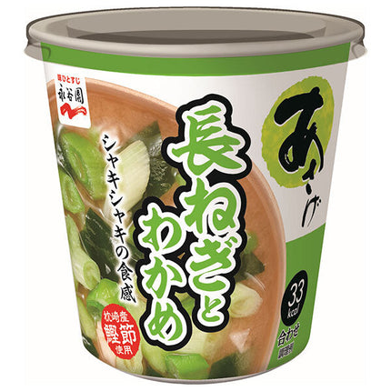 永谷園 カップ入生みそタイプみそ汁あさげ 長ねぎとわかめ 21.1g×6個入