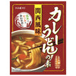 Hachi Foods Kansai-Style Curry Udon Soup Base, Medium Hot, 260 g x 20 [Ships from Japan]