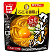 ダイショー CoCo壱番屋監修 カレーうどんつゆ 250g×20袋入【日本出荷】