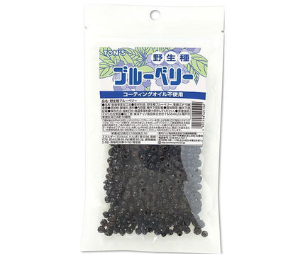 Toyo Nuts Wild Blueberry 110g x 10 bags [Shipped in Japan]