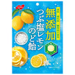 Nobel Seika Additive-free crushed salt lemon throat candy 90g x 6 pieces [shipped in Japan]