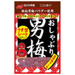 Nobel Seika Pacifier Otoko Ume Sheet 10g x 6 pieces [Shipped in Japan]