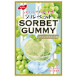 ノーベル製菓 ソルベットグミ シャインマスカット味 50g×6袋入【日本出荷】