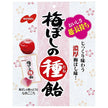 Nobel Seika Umeboshi Seed Candy 30g x 6 bags [shipped in Japan]