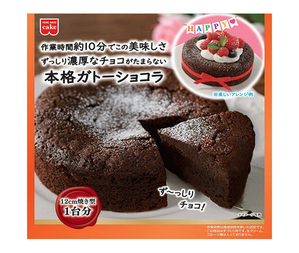 共立食品 本格ガトーショコラキット 170g×5袋入