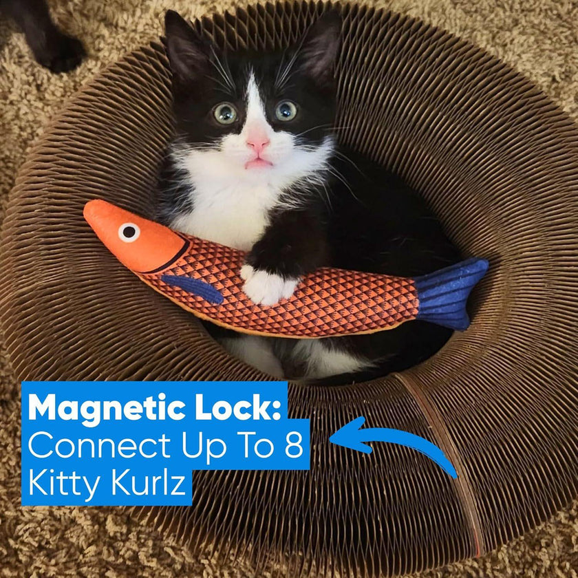 Accordion Cat Scratcher with Bells – Paper Scratching Post for Cats (1, 2 & 3 pcs)