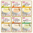 Horika Foods Nutritional Support Soup Assortment 30 (6 types x 5) x 1 box [shipped in Japan]