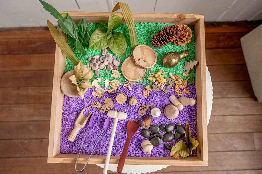 monkey bandit kids - Easy Forest & Nature Sensory Kit - Dump and Play Bag - Made in Canada