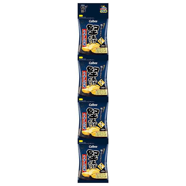 カルビー 堅あげプッチ4 うすしお味 60g×10袋入【日本出荷】