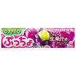 UHA味覚糖 ぷっちょスティック とろけるグレープ 10粒×10個入
