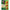 Nissin Welna Nissin Magisakut Farine frite sans huile, saveur sauce soja, 60 g x 10 sachets 