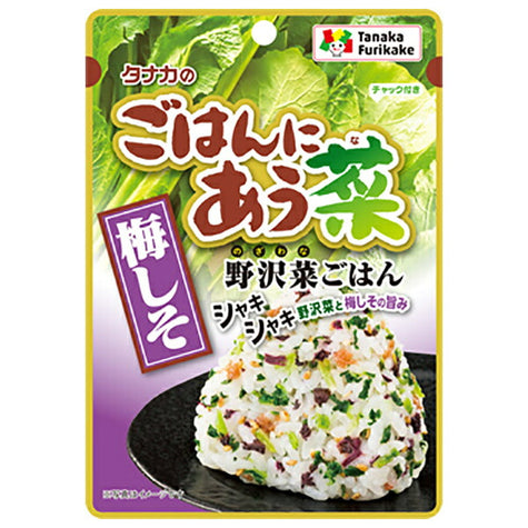田中食品 ごはんにあう菜 梅しそ 15g×10袋入【日本出荷】