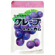 丸川製菓 チャック袋 グレープ フーセンガム 47g×10個入【日本出荷】