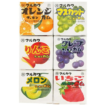 丸川製菓 フルーツ6 マーブルガム 6個×15個入【日本出荷】