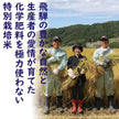 Minami Osaka Rice [Produced in 2020] Polished rice Mikazuki, Hida, Gifu Prefecture Specially cultivated rice 5kg x 1 bag [Shipped in Japan]