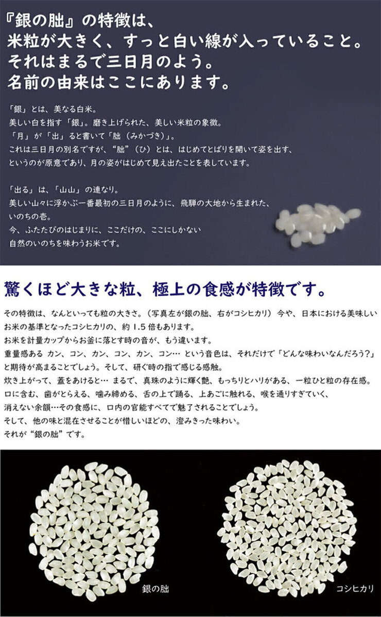 Riz Minami Osaka [Produit en 2020] Mikazuki en argent poli, Hida, préfecture de Gifu, riz spécialement cultivé, 5 kg x 1 sac