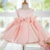 Elegant Princess Birthday girl dress Party dress flower girl dress