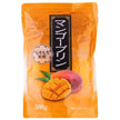 和歌山産業 マンゴープリン 500g×12個入【日本出荷】