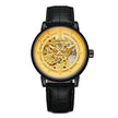 Men's Hollow-Out Mechanical Watch, Skeleton Dial Dress Watch in Gold, Silver and Black