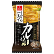 Aszak Foods Curry Udon Mix 22g x 10 bags [Shipped in Japan]