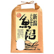 千亀利 【令和7年産】魚沼産こしひかり 5kg×1袋入【日本出荷】