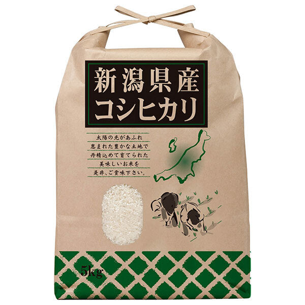 千亀利 【令和8年産】新潟県産こしひかり 5kg×1袋入【日本出荷】