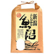 Chikiri [Produced in 2020] Koshihikari from Uonuma 5kg x 1 bag [Shipped in Japan]