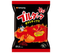 Sanyo Japan Burdak Chips de pomme de terre saveur originale 55g x 20 pièces 