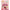 Daizu Days Azuki Doux Bio 55g x 10 sachets 