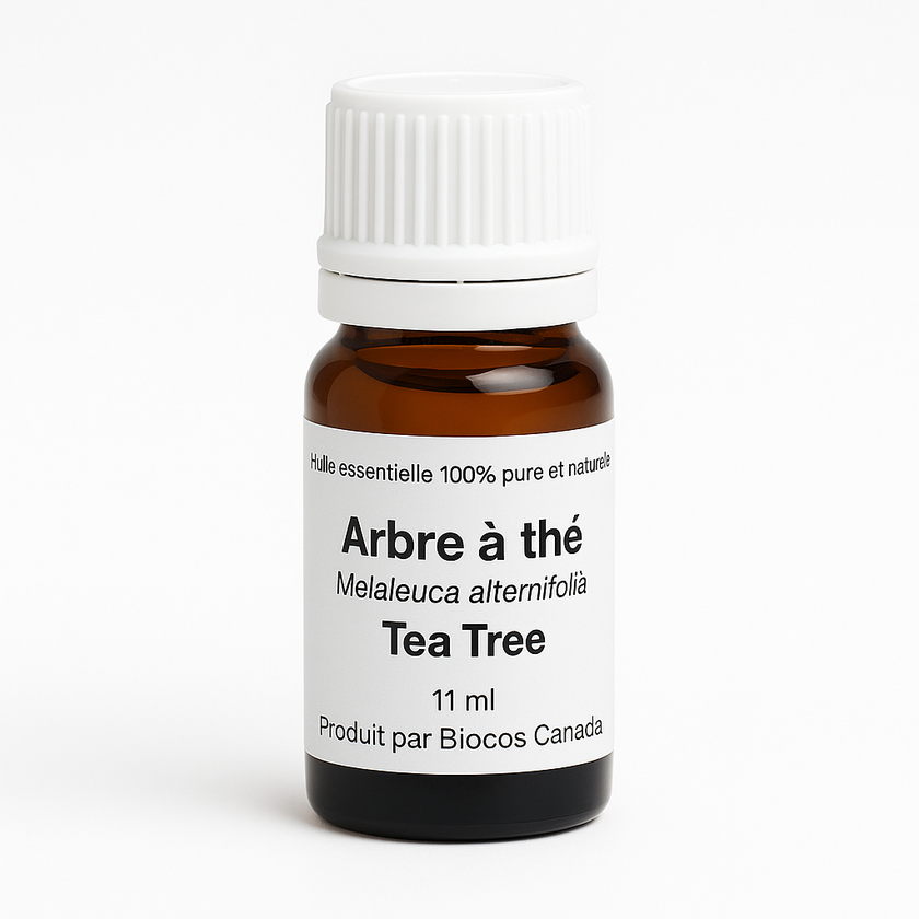 Tea Tree (Arbre à Thé)