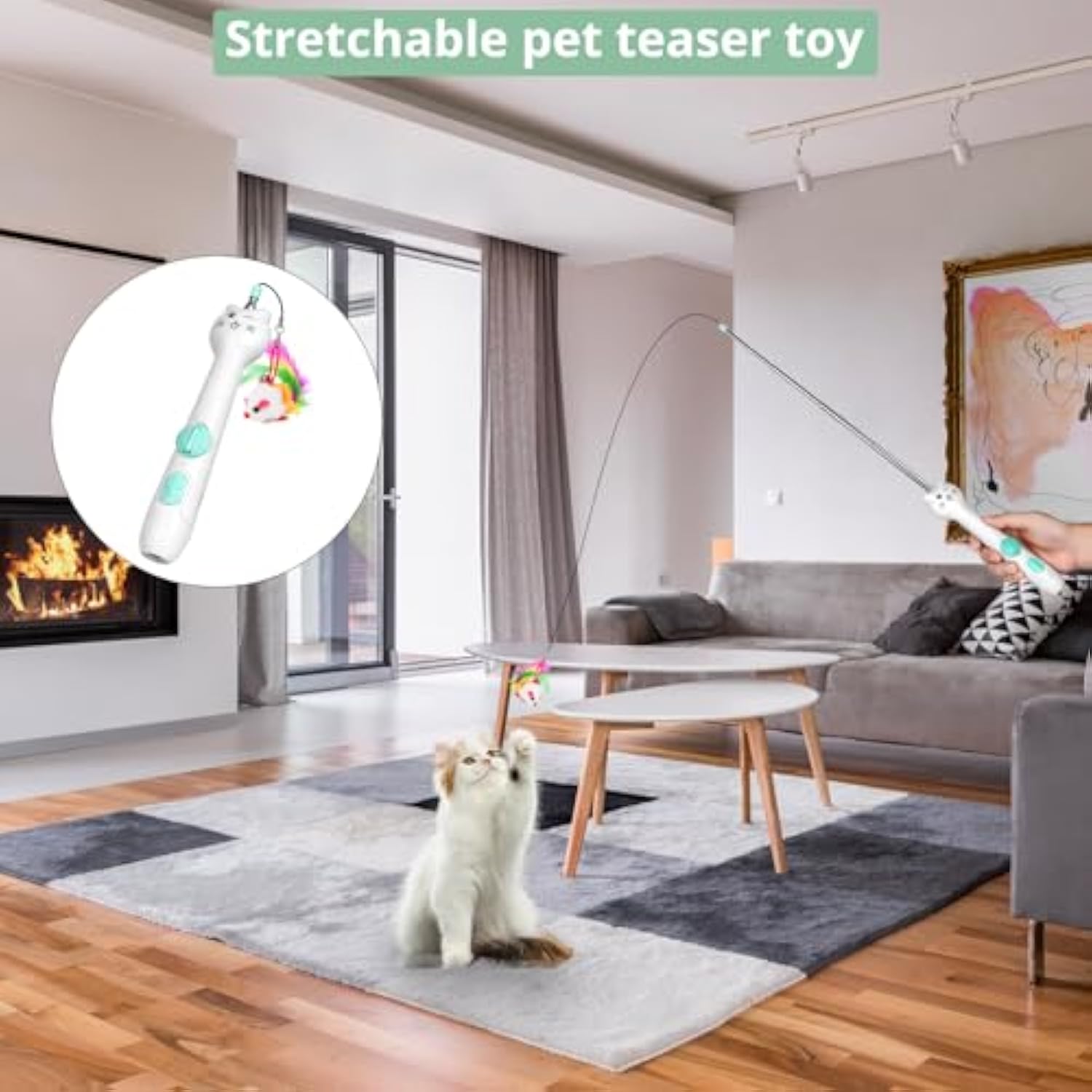 2-in-1 Cat Toy Rechargeable Laser Pointer & Feather Wand for Indoor Cats – Canada & USA