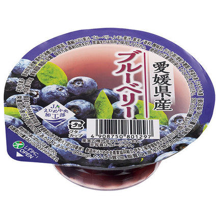 JA Ehime Chuo Blueberry Jelly 120g x 30 pieces 