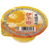 JAえひめ中央 伊予柑のゼリー 120g×30個入