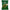 Cosmos Foods NATUREFUTURe Seaweed Soup 10 meals x 2 boxes 