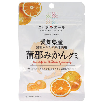 JA Zennoh Nippon Ale Aichi Prefecture Gamagori Mandarin Gummy 40g x 10 bags 
