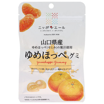 JA Zennoh Nippon Ale Yumehoppe Gummy from Yamaguchi Prefecture 40g x 10 bags [Shipped in Japan]
