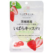 JA全農 ニッポンエール 茨城県産いばらキッス グミ 40g×10袋入