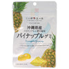 JA Zennoh Nippon Ale Pineapple Gummy from Okinawa 40g x 10 bags [Shipped in Japan]