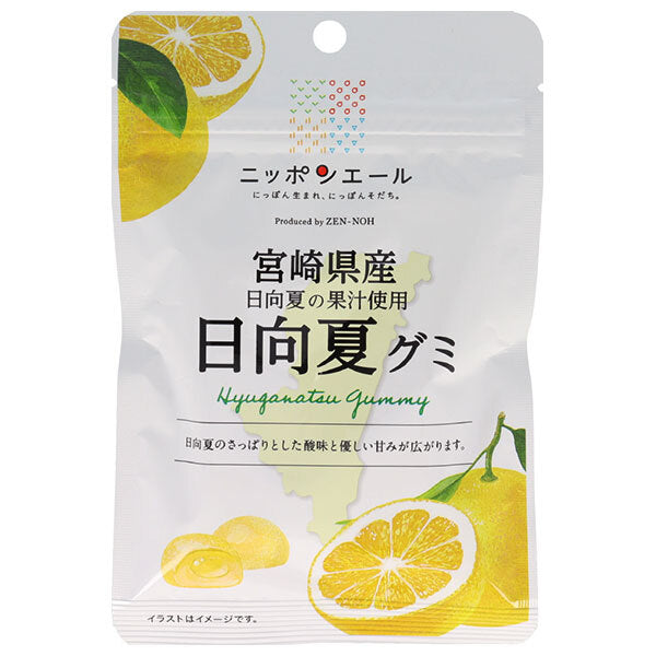 JA Zennoh Nippon Ale Hyuganatsu Gummy from Miyazaki Prefecture 40g x 10 bags [Shipped in Japan]